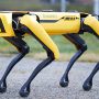 سگ رباتیک با گشت زنی خرابی دکل‌های برق را گزارش می‌دهد